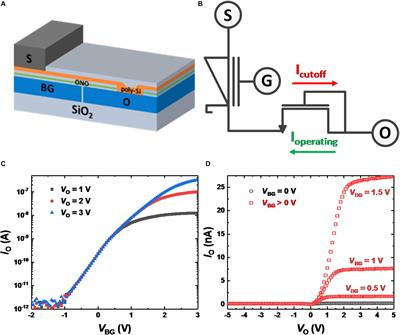 On-Chip Training Spiking Neural Networks Using Approximated Backpropagation With Analog Synaptic Devices